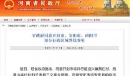 河南新闻视频爆料网站,揭秘幕后真相！