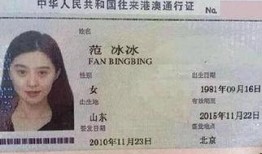 最新通行证爆料,功能升级与通行便利并行